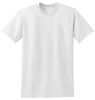 Picture of Short SleeveT-shirt (800)